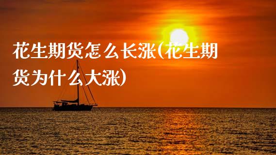 花生期货怎么长涨(花生期货为什么大涨)_https://www.zztgc.com_期货入门_第1张
