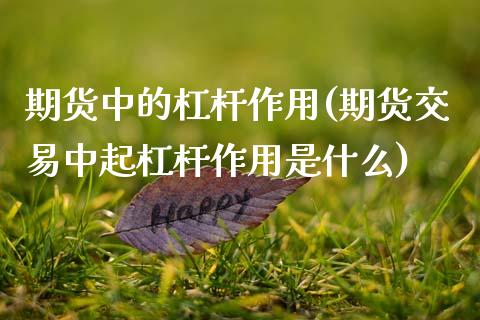 期货中的杠杆作用(期货交易中起杠杆作用是什么)_https://www.zztgc.com_原油期货_第1张