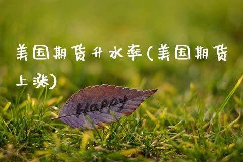 美国期货升水率(美国期货上涨)_https://www.zztgc.com_期货入门_第1张