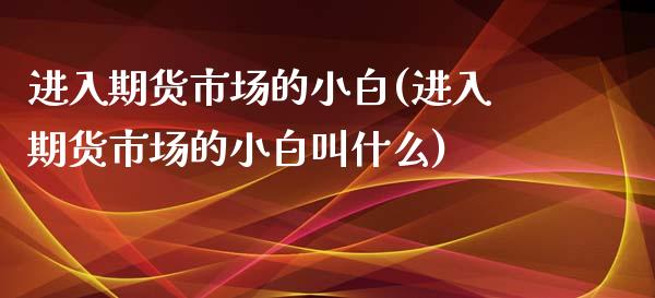 进入期货市场的小白(进入期货市场的小白叫什么)_https://www.zztgc.com_黄金期货_第1张