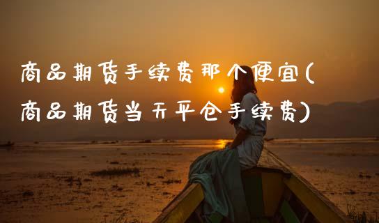 商品期货手续费那个便宜(商品期货当天平仓手续费)_https://www.zztgc.com_期货入门_第1张