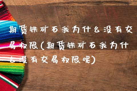 期货铁矿石我为什么没有交易权限(期货铁矿石我为什么没有交易权限呢)_https://www.zztgc.com_期货入门_第1张