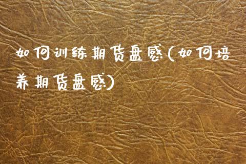 如何训练期货盘感(如何培养期货盘感)_https://www.zztgc.com_期货入门_第1张