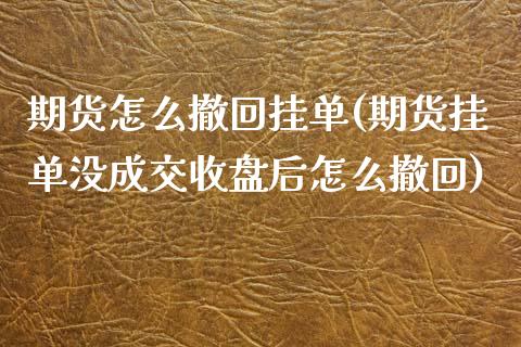 期货怎么撤回挂单(期货挂单没成交收盘后怎么撤回)_https://www.zztgc.com_期货行情_第1张