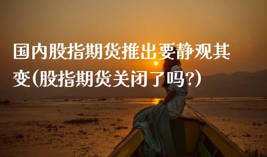 国内股指期货推出要静观其变(股指期货关闭了吗?)_https://www.zztgc.com_期货行情_第1张