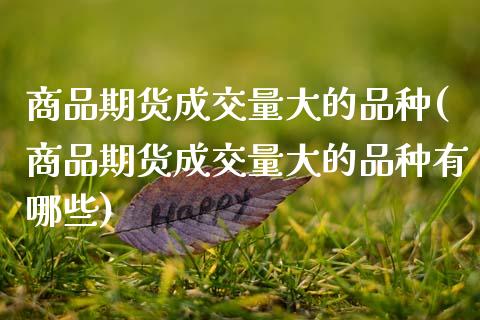 商品期货成交量大的品种(商品期货成交量大的品种有哪些)_https://www.zztgc.com_原油期货_第1张