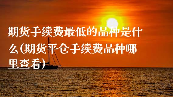 期货手续费最低的品种是什么(期货平仓手续费品种哪里查看)_https://www.zztgc.com_黄金期货_第1张