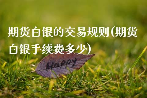 期货白银的交易规则(期货白银手续费多少)_https://www.zztgc.com_期货行情_第1张