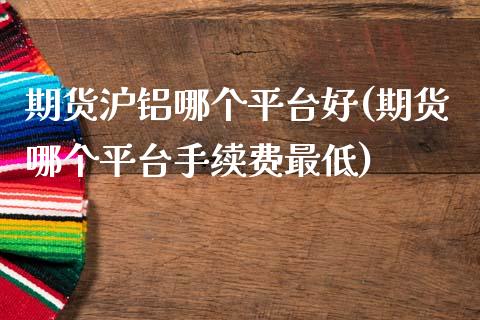 期货沪铝哪个平台好(期货哪个平台手续费最低)_https://www.zztgc.com_期货入门_第1张