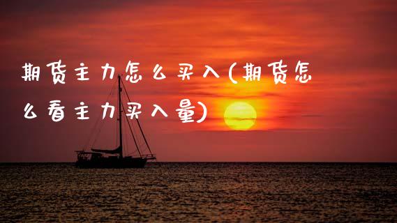 期货主力怎么买入(期货怎么看主力买入量)_https://www.zztgc.com_期货入门_第1张