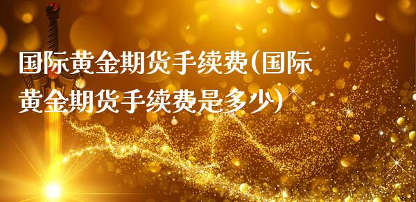 国际黄金期货手续费(国际黄金期货手续费是多少)_https://www.zztgc.com_期货直播_第1张