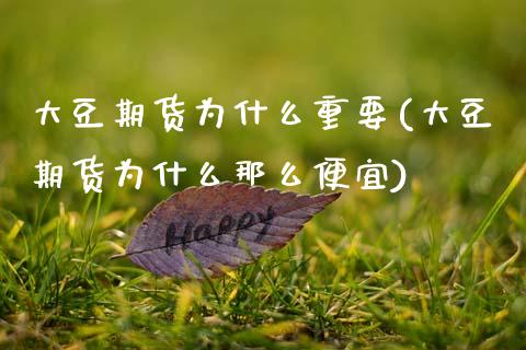 大豆期货为什么重要(大豆期货为什么那么便宜)_https://www.zztgc.com_期货行情_第1张