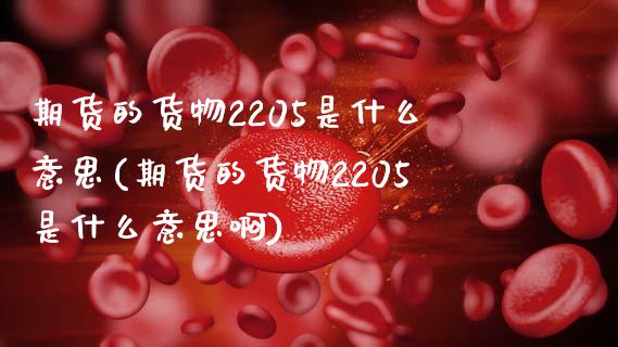期货的货物2205是什么意思(期货的货物2205是什么意思啊)_https://www.zztgc.com_原油期货_第1张