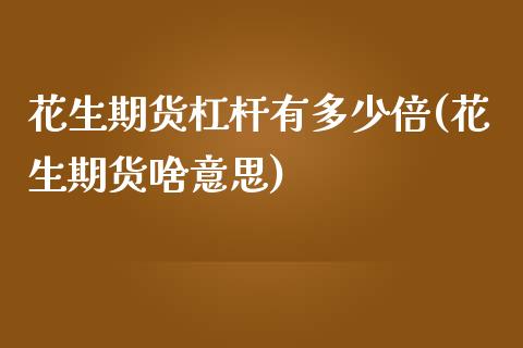 花生期货杠杆有多少倍(花生期货啥意思)_https://www.zztgc.com_期货直播_第1张
