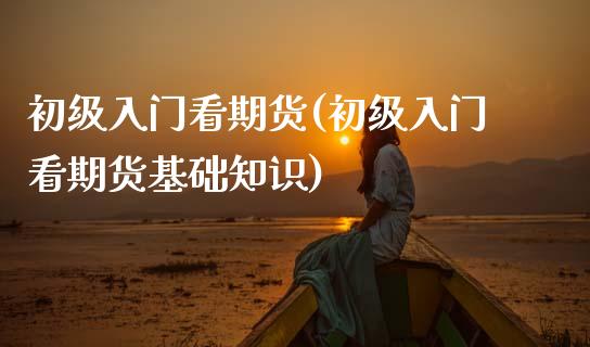 初级入门看期货(初级入门看期货基础知识)_https://www.zztgc.com_期货直播_第1张