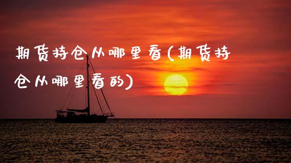 期货持仓从哪里看(期货持仓从哪里看的)_https://www.zztgc.com_黄金期货_第1张