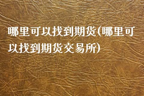 哪里可以找到期货(哪里可以找到期货交易所)_https://www.zztgc.com_期货开户_第1张