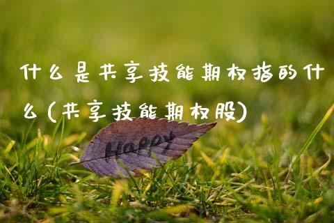 什么是共享技能期权指的什么(共享技能期权股)_https://www.zztgc.com_期货入门_第1张
