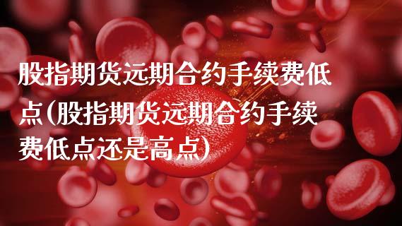 股指期货远期合约手续费低点(股指期货远期合约手续费低点还是高点)_https://www.zztgc.com_期货行情_第1张