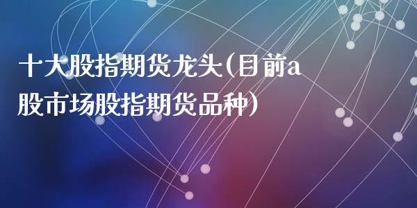 十大股指期货龙头(目前a股市场股指期货品种)_https://www.zztgc.com_期货行情_第1张