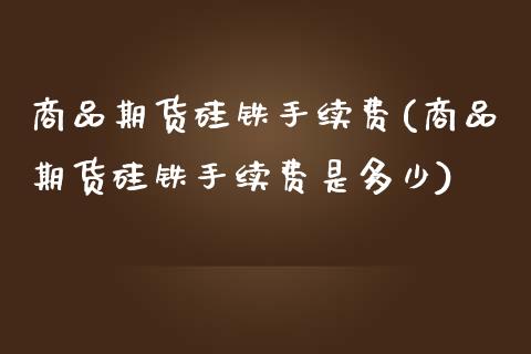 商品期货硅铁手续费(商品期货硅铁手续费是多少)_https://www.zztgc.com_期货直播_第1张