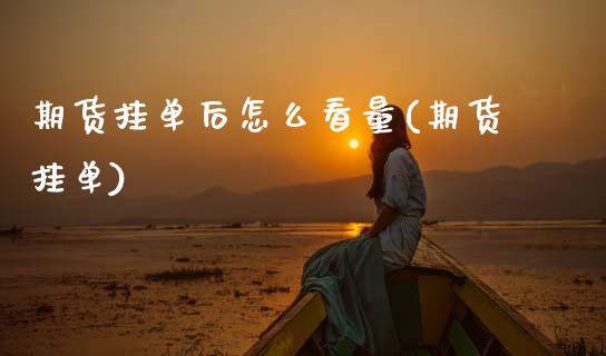 期货挂单后怎么看量(期货挂单)_https://www.zztgc.com_黄金期货_第1张