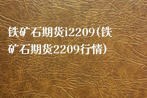 铁矿石期货i2209(铁矿石期货2209行情)_https://www.zztgc.com_期货行情_第1张
