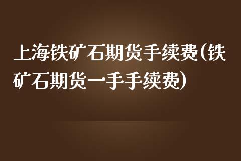 上海铁矿石期货手续费(铁矿石期货一手手续费)_https://www.zztgc.com_期货入门_第1张