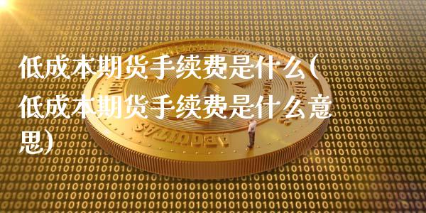 低成本期货手续费是什么(低成本期货手续费是什么意思)_https://www.zztgc.com_黄金期货_第1张