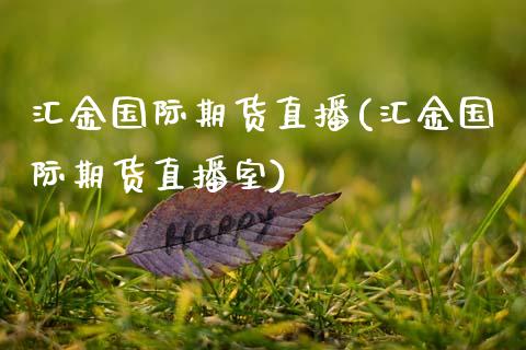 汇金国际期货直播(汇金国际期货直播室)_https://www.zztgc.com_期货行情_第1张