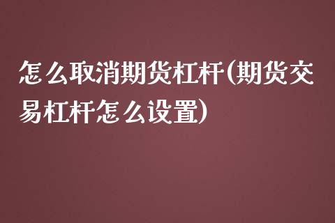 怎么取消期货杠杆(期货交易杠杆怎么设置)_https://www.zztgc.com_期货入门_第1张