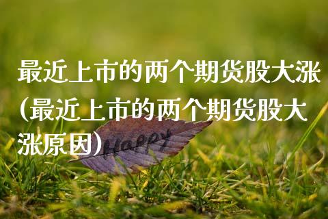 最近上市的两个期货股大涨(最近上市的两个期货股大涨原因)_https://www.zztgc.com_原油期货_第1张