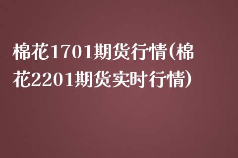 棉花1701期货行情(棉花2201期货实时行情)_https://www.zztgc.com_原油期货_第1张