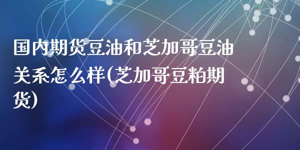 国内期货豆油和芝加哥豆油关系怎么样(芝加哥豆粕期货)_https://www.zztgc.com_期货直播_第1张