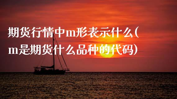 期货行情中m形表示什么(m是期货什么品种的代码)_https://www.zztgc.com_期货直播_第1张