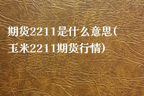 期货2211是什么意思(玉米2211期货行情)_https://www.zztgc.com_期货直播_第1张