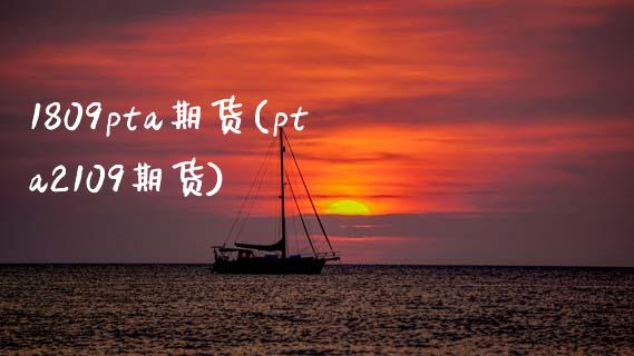 1809pta期货(pta2109期货)_https://www.zztgc.com_期货入门_第1张