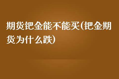 期货钯金能不能买(钯金期货为什么跌)_https://www.zztgc.com_原油期货_第1张