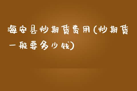 海安县炒期货费用(炒期货一般要多少钱)_https://www.zztgc.com_期货直播_第1张