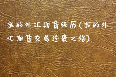 我的外汇期货经历(我的外汇期货交易逆袭之路)_https://www.zztgc.com_期货直播_第1张