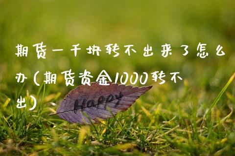 期货一千块转不出来了怎么办(期货资金1000转不出)_https://www.zztgc.com_原油期货_第1张