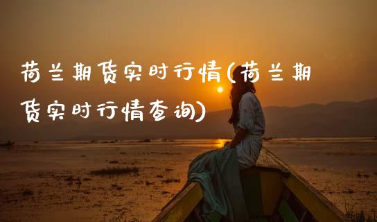 荷兰期货实时行情(荷兰期货实时行情查询)_https://www.zztgc.com_黄金期货_第1张