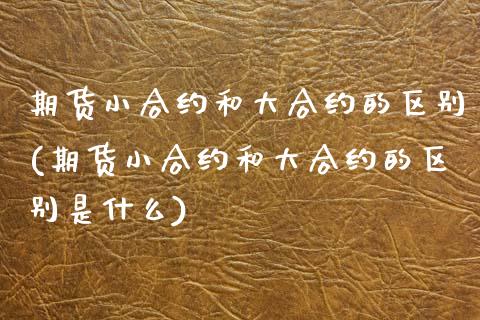 期货小合约和大合约的区别(期货小合约和大合约的区别是什么)_https://www.zztgc.com_期货行情_第1张
