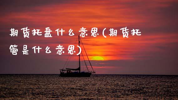 期货托盘什么意思(期货托管是什么意思)_https://www.zztgc.com_黄金期货_第1张