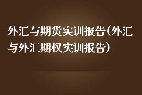 外汇与期货实训报告(外汇与外汇期权实训报告)_https://www.zztgc.com_期货入门_第1张