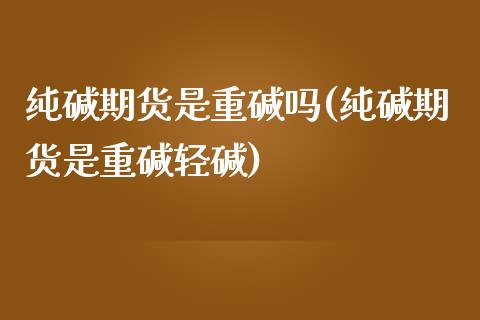纯碱期货是重碱吗(纯碱期货是重碱轻碱)_https://www.zztgc.com_期货入门_第1张