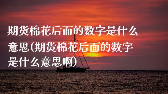 期货棉花后面的数字是什么意思(期货棉花后面的数字是什么意思啊)_https://www.zztgc.com_期货入门_第1张