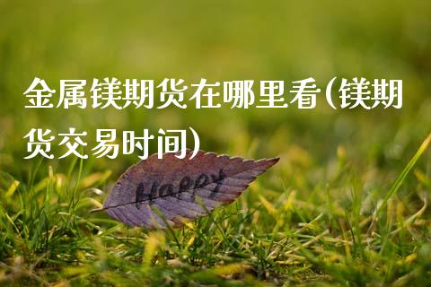 金属镁期货在哪里看(镁期货交易时间)_https://www.zztgc.com_期货入门_第1张