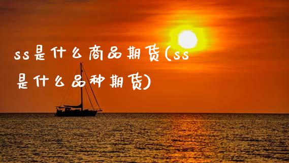 ss是什么商品期货(ss是什么品种期货)_https://www.zztgc.com_原油期货_第1张