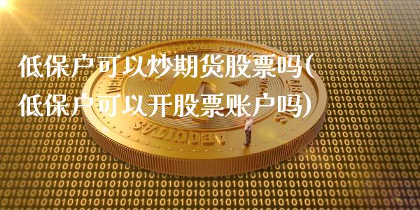 低保户可以炒期货股票吗(低保户可以开股票账户吗)_https://www.zztgc.com_期货行情_第1张